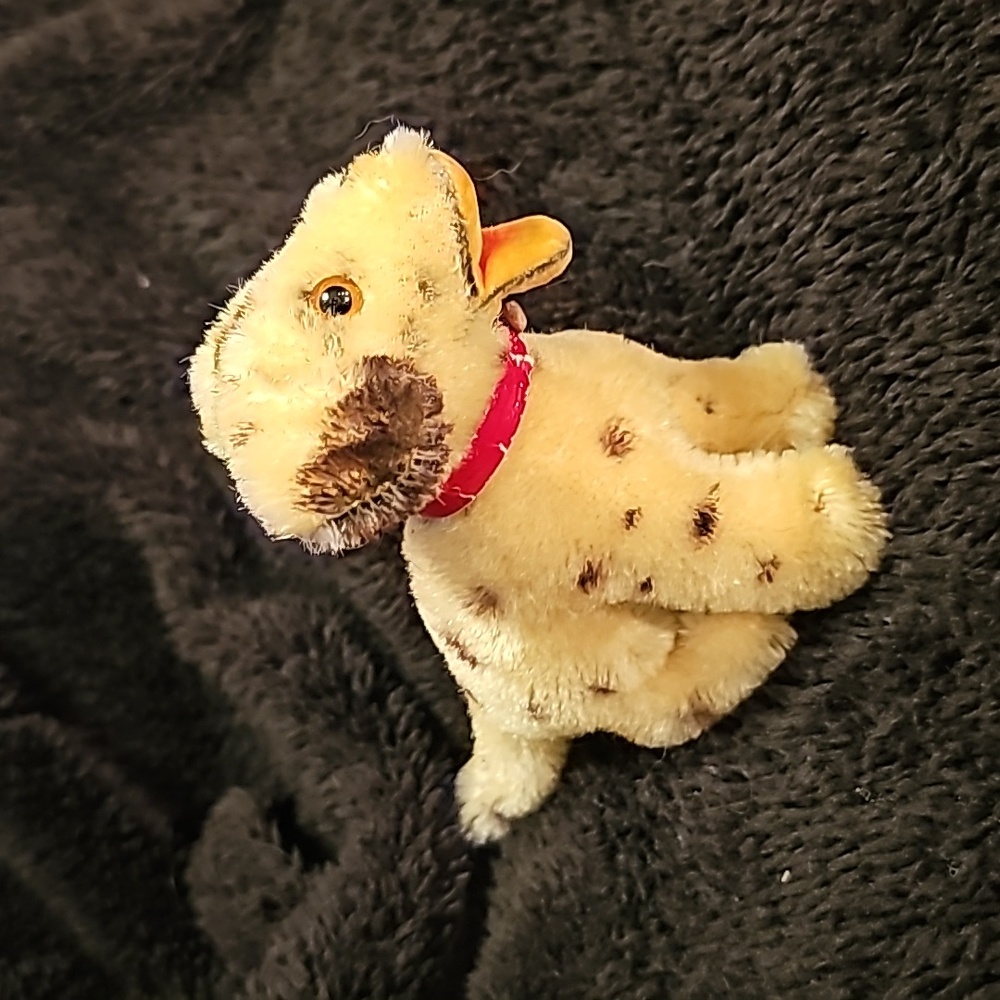 Collection dalmatier - Picture 3 of 3